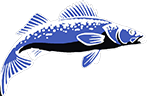 Walleybaits