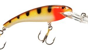 Cotton Cordell Wally Diver Lure - 2-1/2" - Special Perch