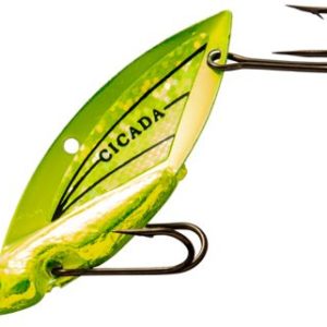 Reef Runner Cicada
