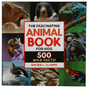 The Fascinating Animal Book for Kids by Ginjer Clarke