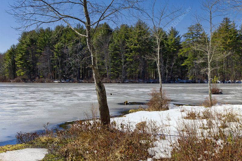 ice melting on lake