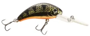 Boogie Shad Crankbait